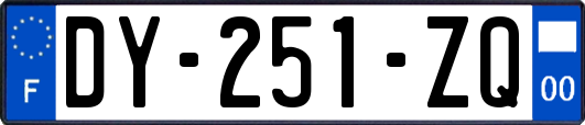 DY-251-ZQ