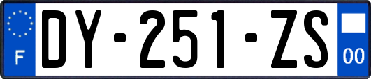 DY-251-ZS