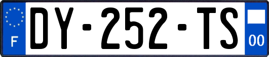 DY-252-TS