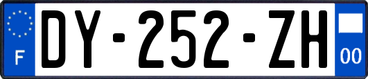 DY-252-ZH