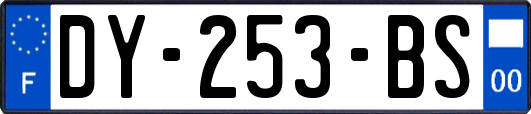 DY-253-BS