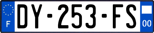 DY-253-FS