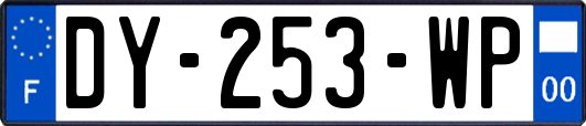 DY-253-WP