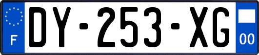 DY-253-XG