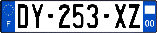 DY-253-XZ