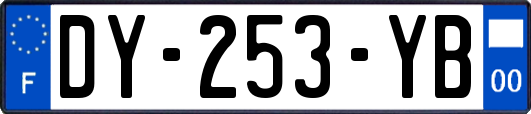 DY-253-YB