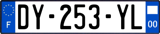 DY-253-YL