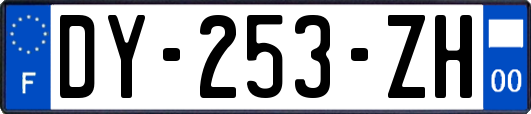 DY-253-ZH