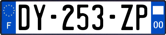 DY-253-ZP