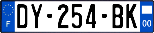 DY-254-BK