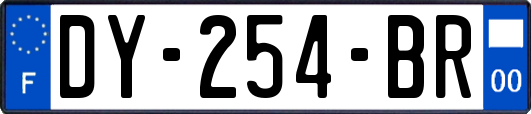 DY-254-BR