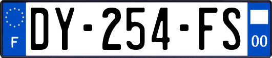 DY-254-FS