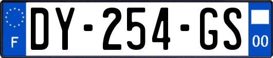 DY-254-GS