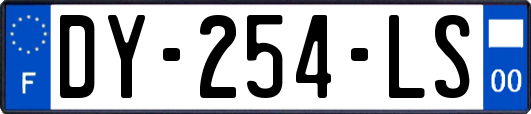 DY-254-LS