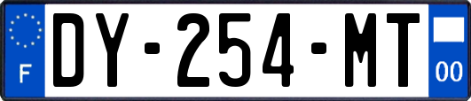 DY-254-MT