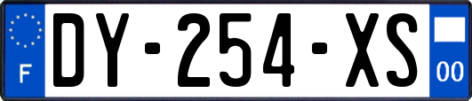 DY-254-XS