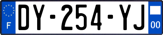 DY-254-YJ