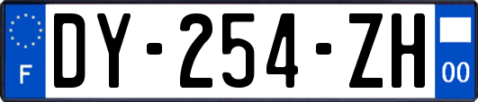 DY-254-ZH