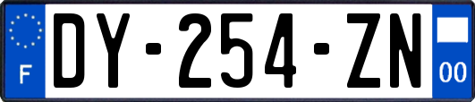 DY-254-ZN