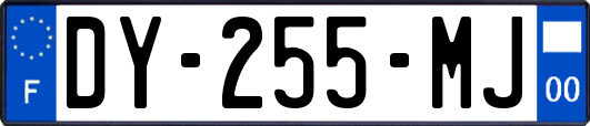 DY-255-MJ