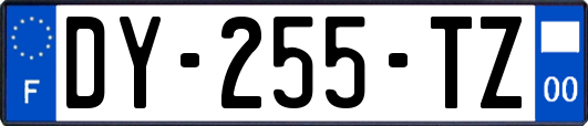 DY-255-TZ