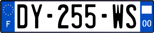 DY-255-WS