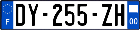 DY-255-ZH