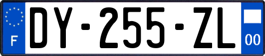 DY-255-ZL
