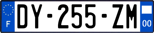 DY-255-ZM