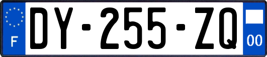 DY-255-ZQ