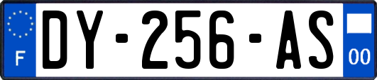 DY-256-AS