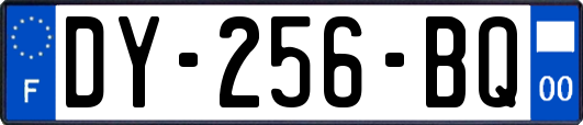 DY-256-BQ