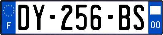 DY-256-BS
