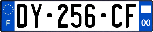 DY-256-CF