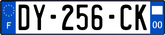 DY-256-CK