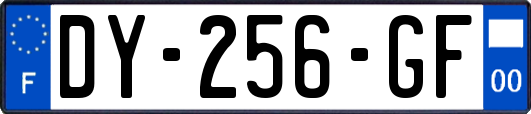 DY-256-GF