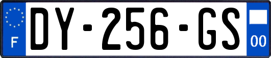 DY-256-GS