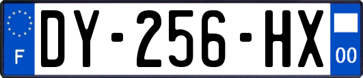 DY-256-HX