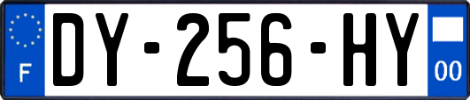 DY-256-HY