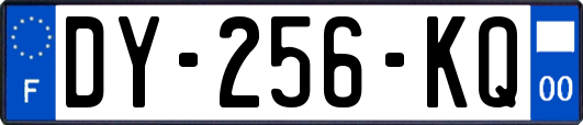 DY-256-KQ