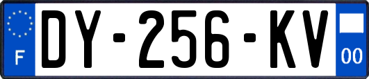 DY-256-KV