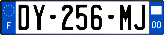 DY-256-MJ