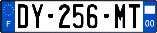 DY-256-MT