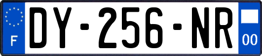 DY-256-NR