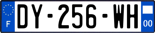 DY-256-WH