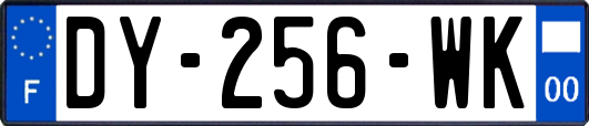 DY-256-WK