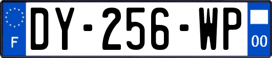 DY-256-WP