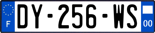 DY-256-WS