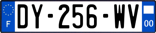 DY-256-WV