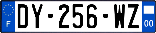 DY-256-WZ